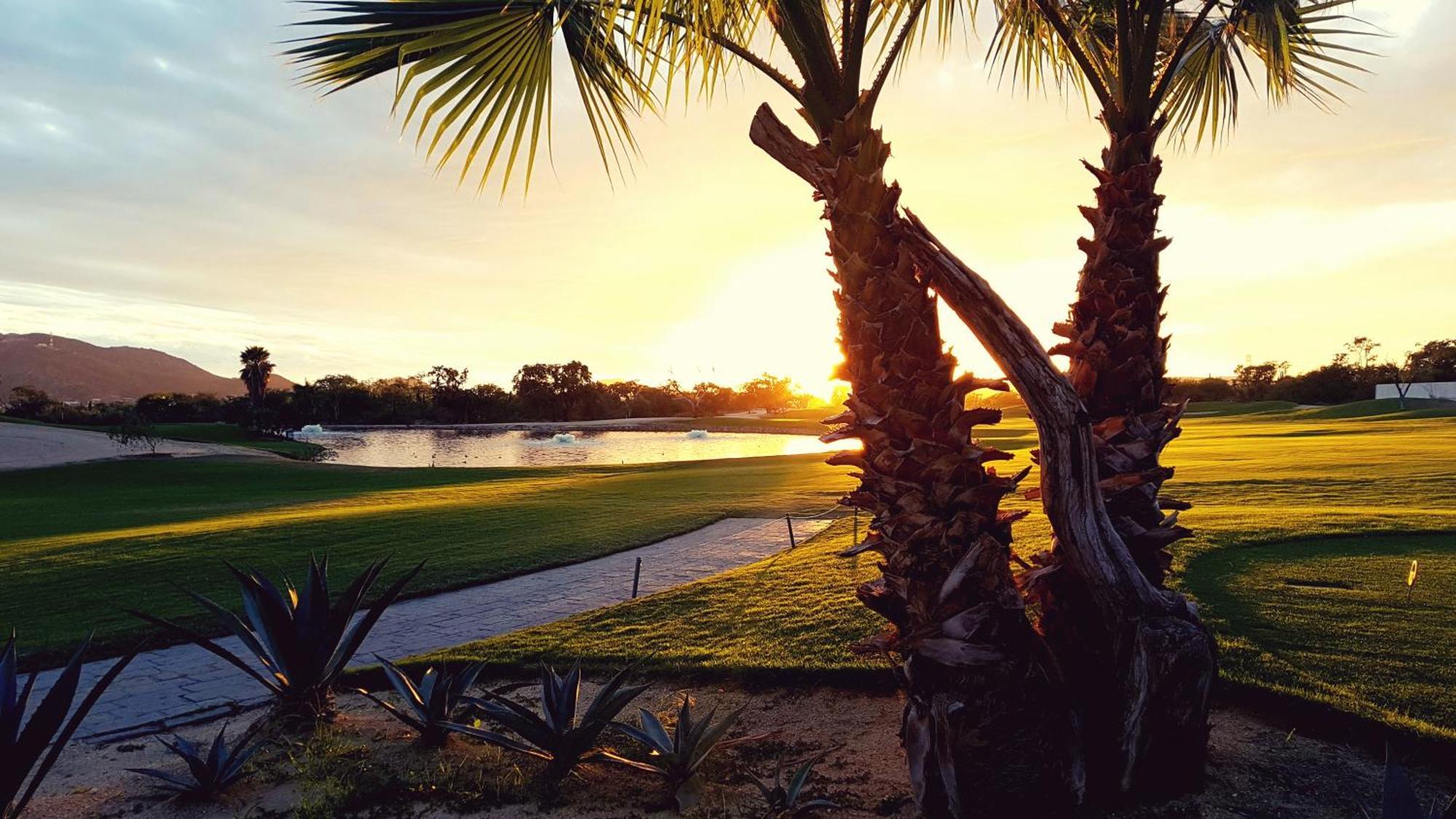 Los Cabos Golf Resort, Trademark Collection By Wyndham Cabo San Lucas Kültér fotó